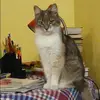 Отзыв от Софья Бабушкина